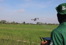 Pakar IPB: AI dan Big Data Kunci Pertanian Presisi untuk Swasembada Pangan Pakar IPB: AI dan Big Data Kunci Pertanian Presisi untuk Swasembada Pangan