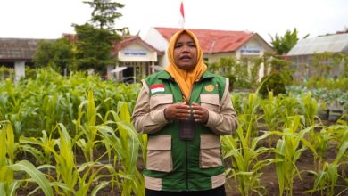Peran Penyuluh Pertanian Krusial Wujudkan Swasembada Pangan lewat Mekanisasi Pertanian