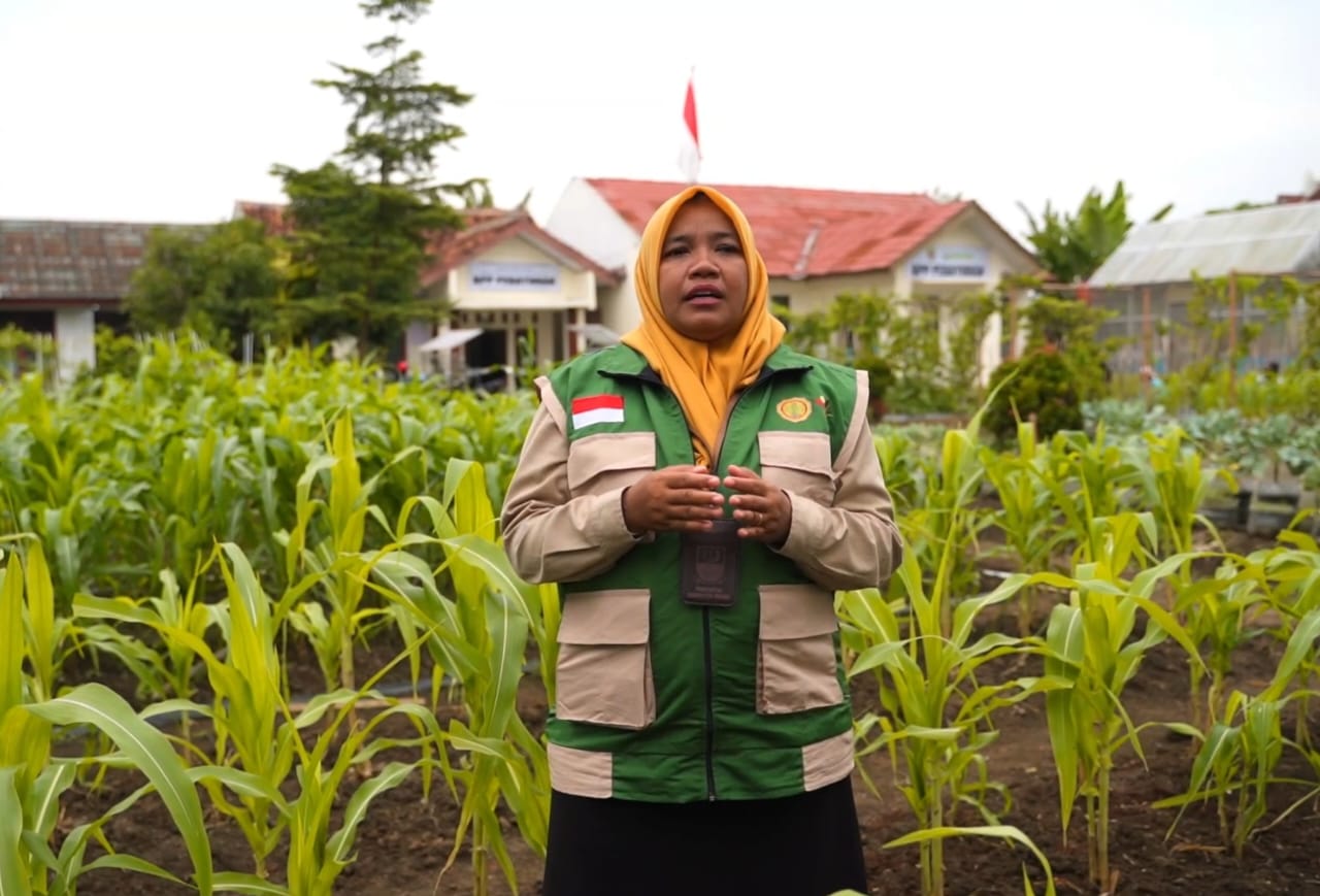Peran Penyuluh Pertanian Krusial Wujudkan Swasembada Pangan lewat Mekanisasi Pertanian Peran Penyuluh Pertanian Krusial Wujudkan Swasembada Pangan lewat Mekanisasi Pertanian