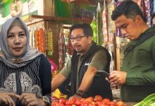 Cegah Spekulasi, Strategi Stabilisasi Harga Pangan Diperkuat